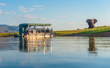 Circuit en groupe : Safari croisière au fil du Zambèze