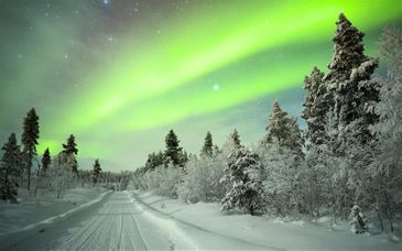 Séjour multi-activités : Vaattunki Wilderness Resort 4*