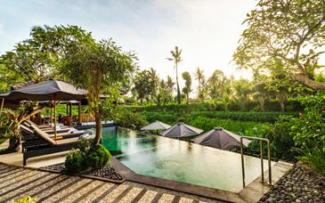 Hôtels Mayura Ubud Retreat 4*, Ombak Sunset 4* et The Leaf Jimbaran 5*