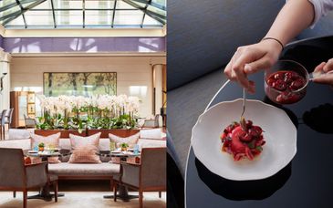 Restaurant Café Jeanne au Park Hyatt Paris-Vendôme 5*