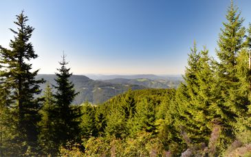 Hôtel Andante Rust 4*