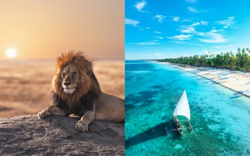 Safari en de 4 à 7 nuits avec extension au Sunshine Azure 4*