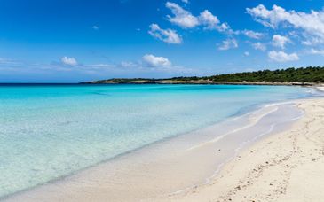 Club Simo Affiliated by Senator 