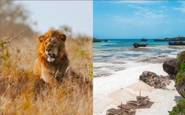 Saffron Garden Malindi 4* avec safari inclus