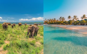 Circuit privé : Safari en Ceylan et séjour au Canareef Resort Maldives 4*
