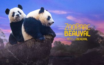 ZooParc de Beauval et séjour aux Pagodes ou aux Rivages de Beauval