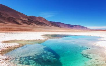Circuit en liberté : Couleurs du Nord Argentin 