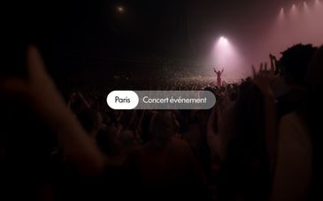 Concert de Céline Dion et séjour à l'Hôtel Trianon Rive Gauche 4*