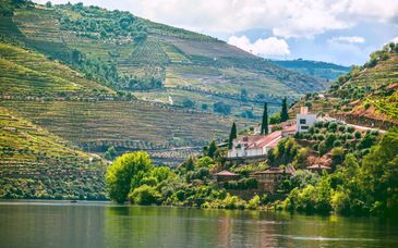Séjour découverte : Au départ du Mercure Porto Centro Aliados 4*