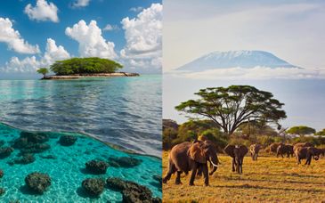Ôclub Select Diamonds Malindi 5* avec safaris