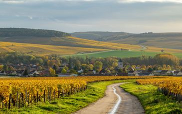 Novotel Beaune 4* 