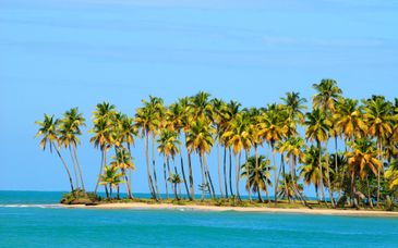 Collection Playa Esmeralda 5*