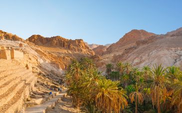 Circuit en groupe en 4* : Désert intense et séjour à Djerba