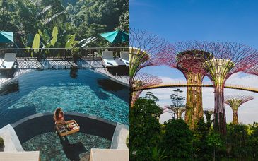 Nandini Jungle Resort and Spa 4* avec extension possible à Singapour