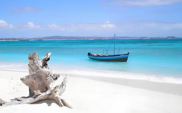 Hemingways Watamu 5* e possibile safari