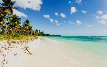 Melia Punta Cana Beach 5* - Adults Only