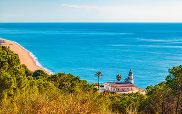 Hotel Kaktus Playa 5*