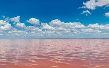 Tour di gruppo: Alla scoperta del Senegal con possibile estensione al Royam Hotel 4*
