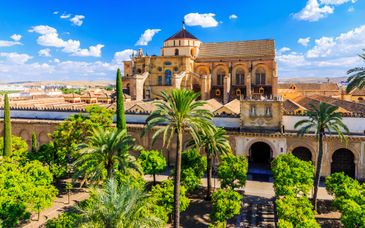 Tour di gruppo: I gioielli dell'Andalusia