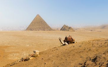 Hyatt Regency Cairo West 5* e Steigenberger Alcazar 5*