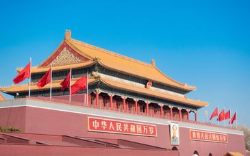 Tour di gruppo: Il dragone magico