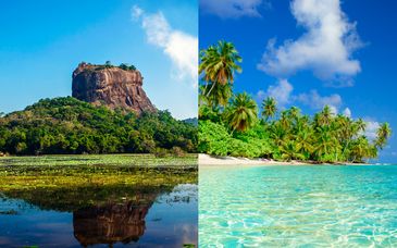 Tour privato alla scoperta delle meraviglie naturali dello Sri Lanka