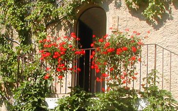 Garda /  Veneto - Poiano Resort Appartamenti