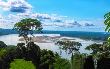 Crociera dell'Amazzonia ecuadoriana con estensione a Quito e Cotopaxi