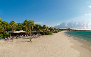 Paradisus Cancun Resort & Spa 5* + Paradisus Playa Del Carmen 5*