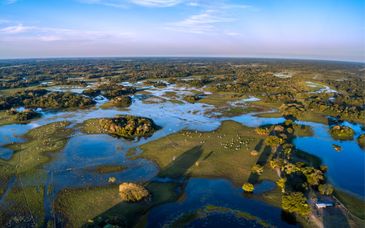 Captivating Brazil : Pantanal wildlife and Rio de Janeiro