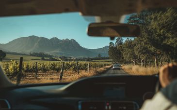 14-17-night road trip: Cape Town & the Garden Route 