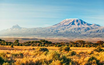 Duo: 3-6 night private Kenya safari & Sea Cliff Resort & Spa 5*