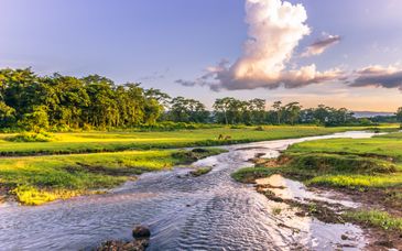 7-9 night private tour: The essence of Nepal