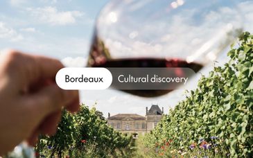 Radisson Blu Hotel Bordeaux 4*