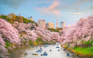 Private tour: 9 - 15 nights across Japan