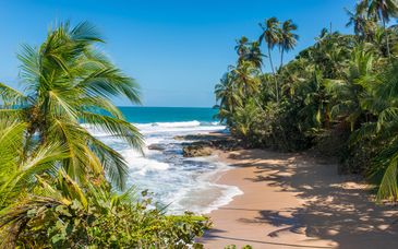 Planet Hollywood Beach Resort Costa Rica 5*