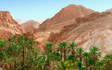 7 night private tour: Grand Tour of Tunisia