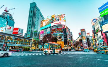 9-13 night self-guided tour: Japan, between culture and entertainment