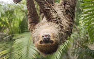 9-19 night road trip: Magic in Costa Rica