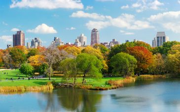 Sheraton New York Times Square Hotel 4*