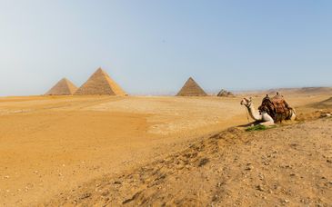 7-11 night tour: The Nile & cradle of civilisation