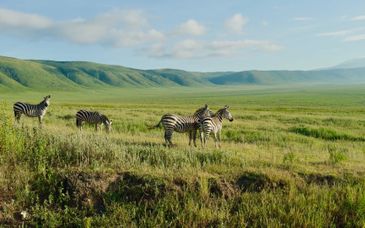 4-9 night safari: Discover Tanzania’s mythical North Parks