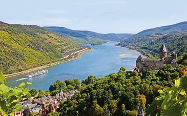 Rhine Taster Cruise