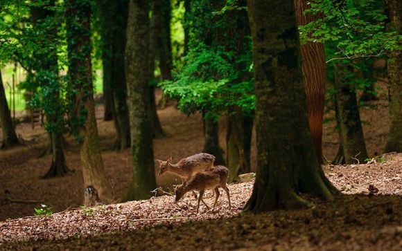 Hotel Residence Il Porto 4* 