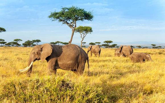 Ihre Reise im Überblick