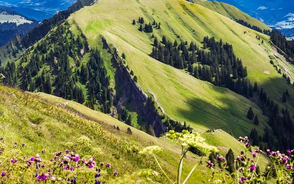 Willkommen im... Allgäu!