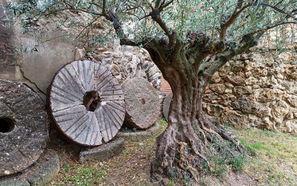 Erlebnis in der Lyrakis Olivenmühle mit kretischer Verkostung
