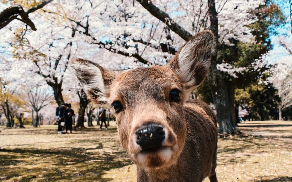 Ihre Rundreise im Detail