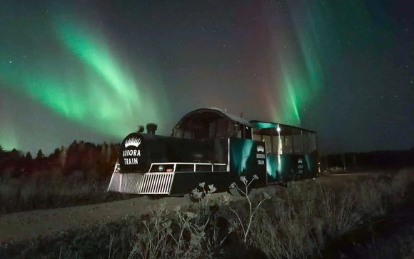 Ihre Nordlichterjagd mit dem Auto (3 Std.) & Nordlichterdinner in der Wildnis (ab 5 Nächten; ohne Getränke, 2-3 Std.)