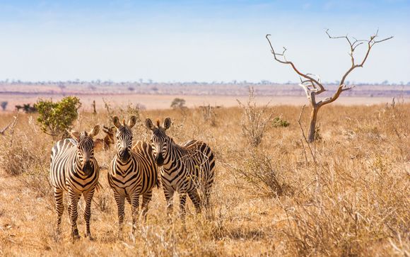 Erleben Sie spannende Safaris